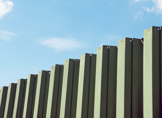 Grüne Wand